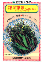 紅菜苔