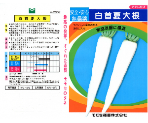 白首夏大根解説