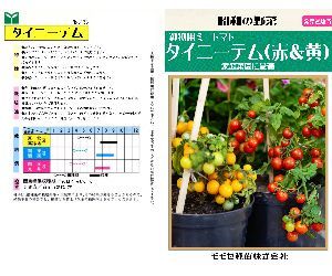 タイニーテム解説