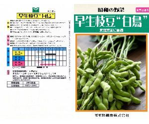 白鳥枝豆解説