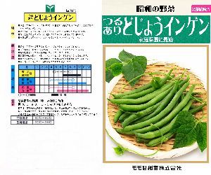 どじょうインゲン解説