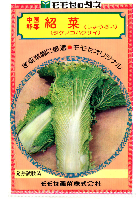 紹菜(タケノコ白菜)