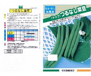 つるなし菜豆解説