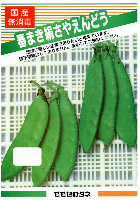 春まき絹莢豌豆